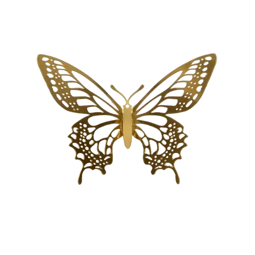 Butterfly accessory